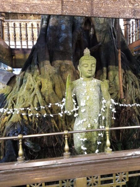 Explore Colombo CITY With Food and Drinks Formorning/Evening - Frequently Asked Questions
