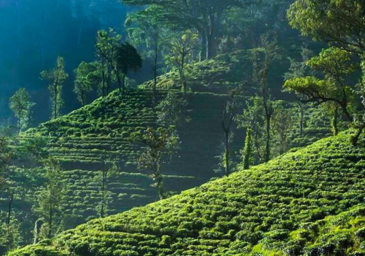 Explore Countryside of Nuwara Eliya by Tuk-Tuk - Tour Details