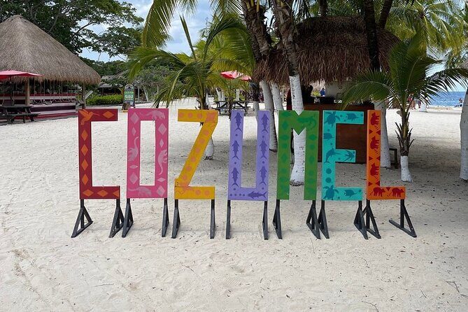 Explore Cozumel on a Buggy: Tour Around the Island! - Who Should Consider This Tour?