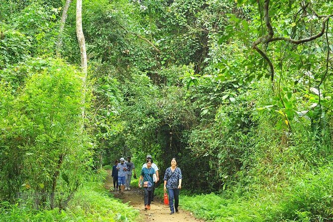 Explore Cuc Phuong National Park: A Guided Trekking Adventure - FAQs