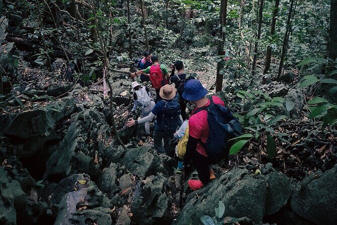 Explore Cuc Phuong National Park: A Guided Trekking Adventure - Who Should Consider This Tour?