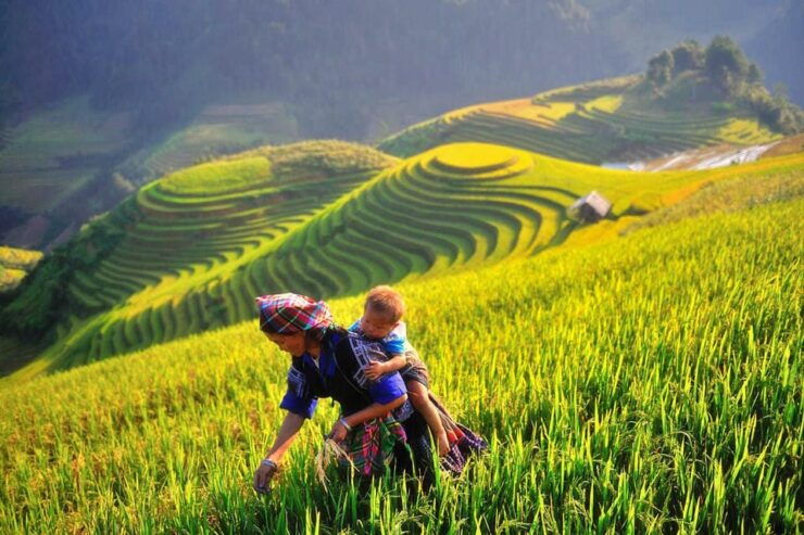 Explore Cultural Unique of Mu Cang Chai - Good To Know