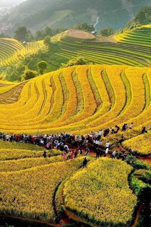 Explore Cultural Unique of Mu Cang Chai - Journey to Mu Cang Chai