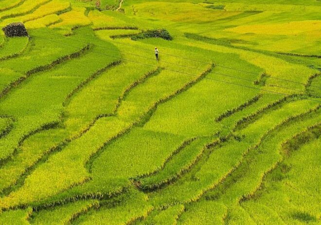 Explore Cultural Unique of Mu Cang Chai - Local Markets and Villages