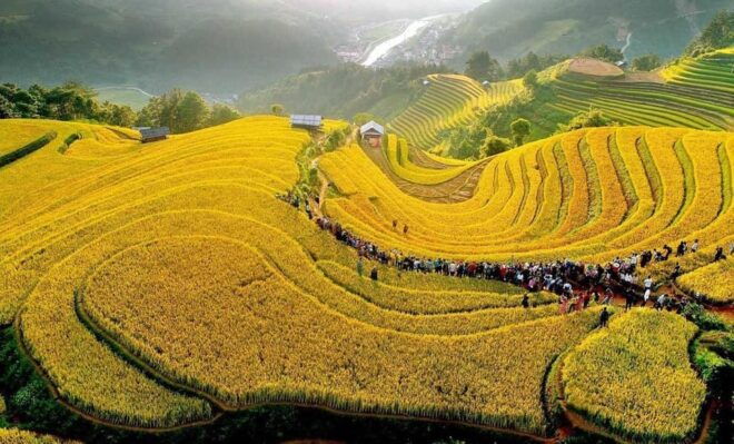 Explore Cultural Unique of Mu Cang Chai - Unique Cultural Experiences