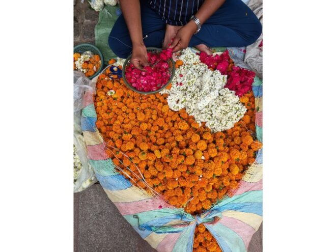 Explore Delhi Like a Local: Old and New Delhi Tour - Optional Experiences