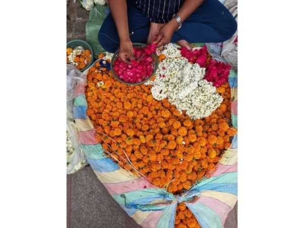 Explore Delhi Like a Local: Old and New Delhi Tour - Common Questions