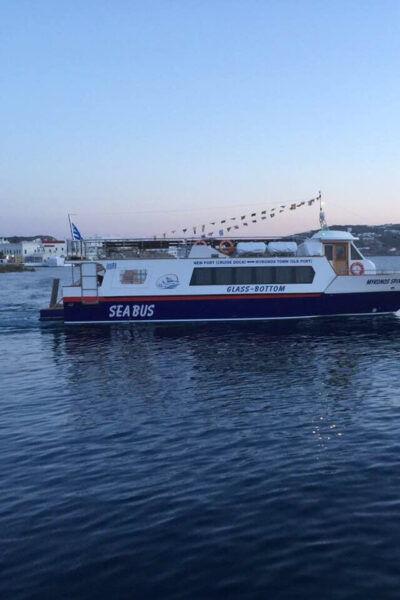 Explore Delos & Rhenia - Booking Your Adventure