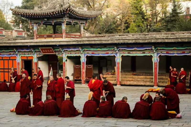 Explore Dharamshala's monasteries for Tibetan spirituality - Who Would Love This Tour?