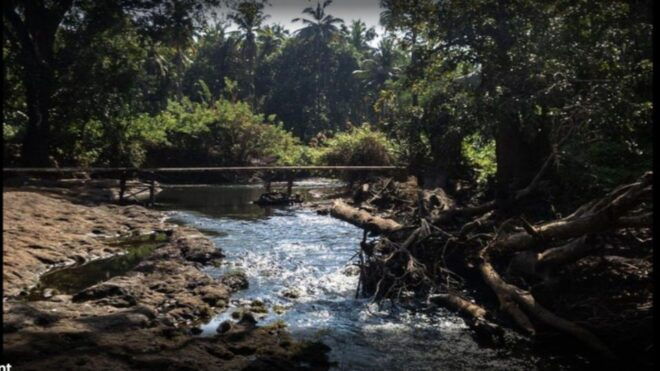 Explore Divar Island:Nature & Backwater Boating in North Goa - Tour Description