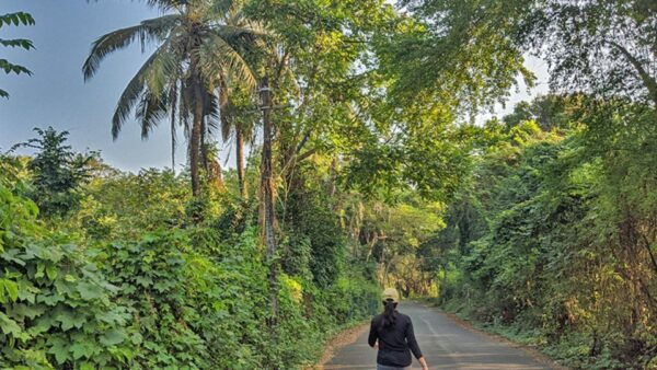 Explore Divar Island:Nature & Backwater Boating in North Goa - Customer Reviews