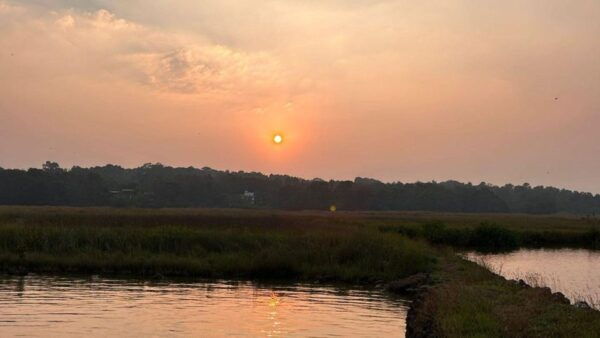 Explore Divar Island:Nature & Backwater Boating in North Goa - Frequently Asked Questions