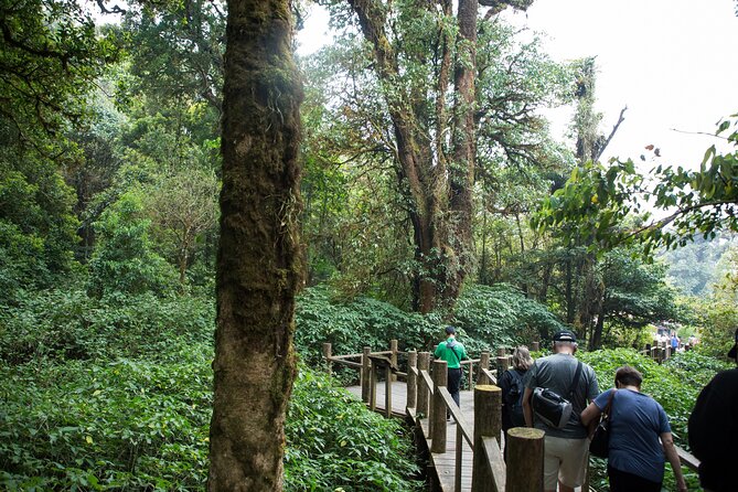 Explore Doi Inthanon National Park: Full Day Tour W/ Hotel Pickup - Customer Reviews