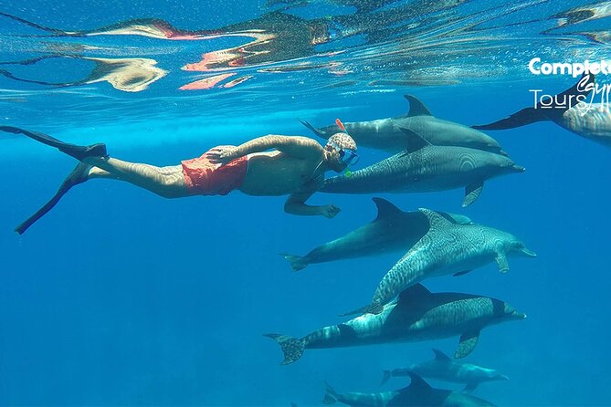 Explore Dolphin House Snorkeling and Lunch From Hurghada - Itinerary Details