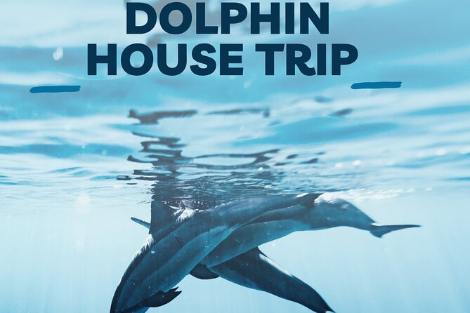 Explore Dolphin House Snorkeling and Lunch From Hurghada - Safety Measures