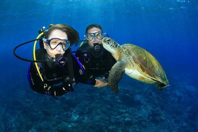 Explore Dolphin House Snorkeling and Lunch From Hurghada - Cancellation Policy