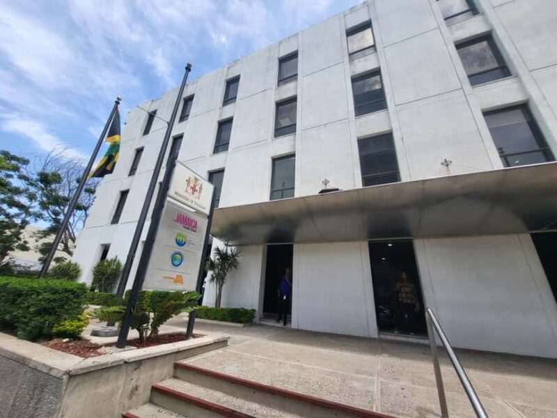 Explore Downtown Kingston and New Kingston: - Exploring Kingston and New Kingston: An Authentic 3-Hour Tour