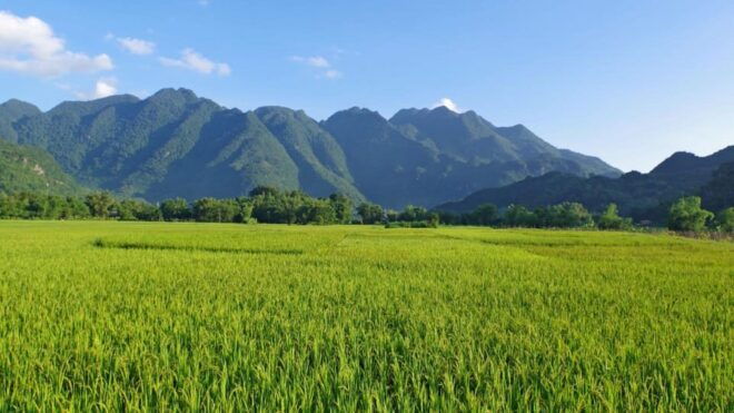 Explore Ecotourism in Private Mai Chau With Biking Tour - Tour Duration and Schedule