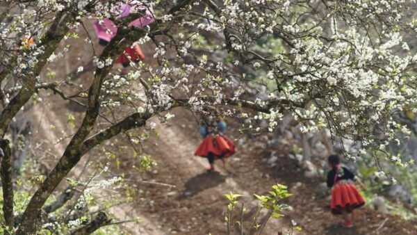 Explore Ecotourism in Private Mai Chau With Biking Tour - Additional Information for Travelers