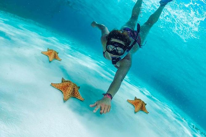 Explore El Cielo in Cozumel. Snorkel in 3 Different Reefs & Visit Cielito Beach. - Snorkel in 3 Different Reefs