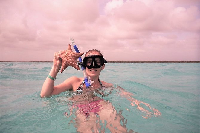 Explore El Cielo in Cozumel. Snorkel in 3 Different Reefs & Visit Cielito Beach. - Visit Cielito Beach