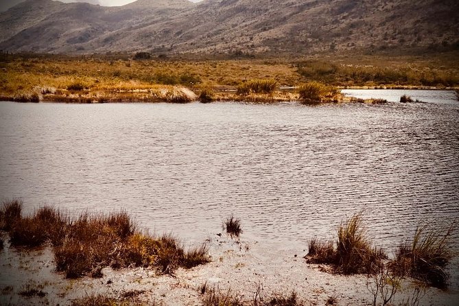 Explore El Verjon Paramo: Nature's Hidden Gem - Flora and Fauna Highlights