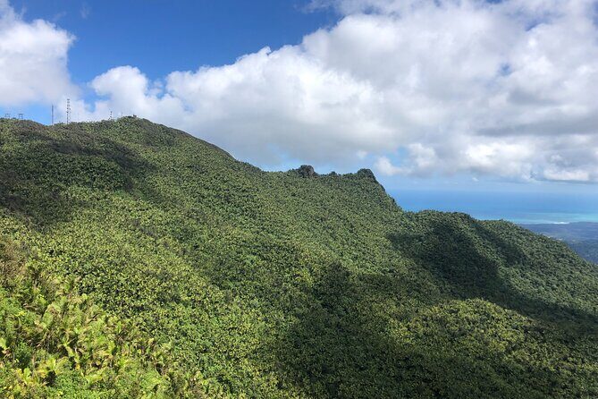Explore El Yunque National Forest Guided Nature Adventure - Discovering El Yunque: A Guided Nature Tour Worth Your Time