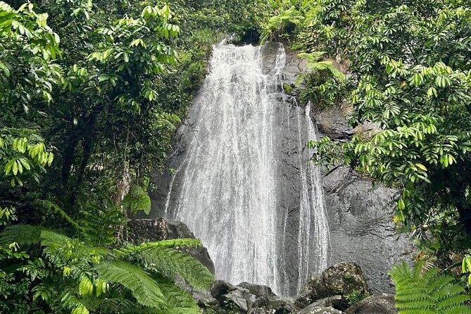 Explore El Yunque National Forest Guided Nature Adventure - Good To Know