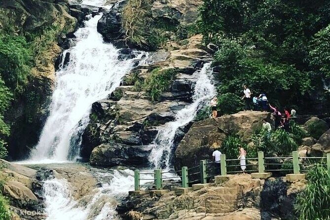 Explore Ella Highlights in a Private Guided Tour - Price & Value Analysis