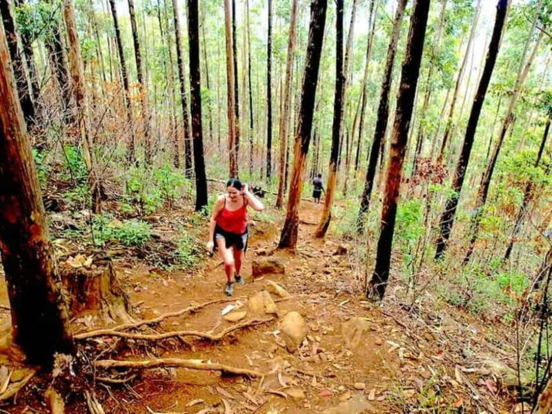 Explore Ella: Rock Hike, Loop, Falls, Nine arch & Train View - The Itinerary in Detail