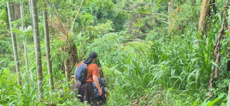 Explore Ellas Iconic Waterfalls on Scenic Tuk Tuk Adventure - The Sum Up