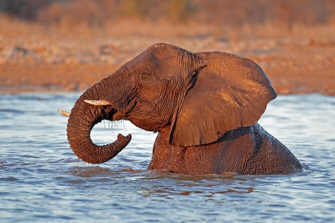 Explore Etosha National Park & Sossusvlei in Namibia | Auto Tour - Good To Know