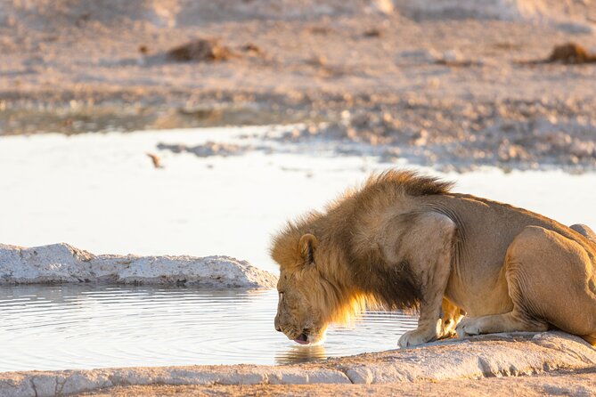 Explore Etosha National Park & Sossusvlei in Namibia | Auto Tour - Pricing and Policies