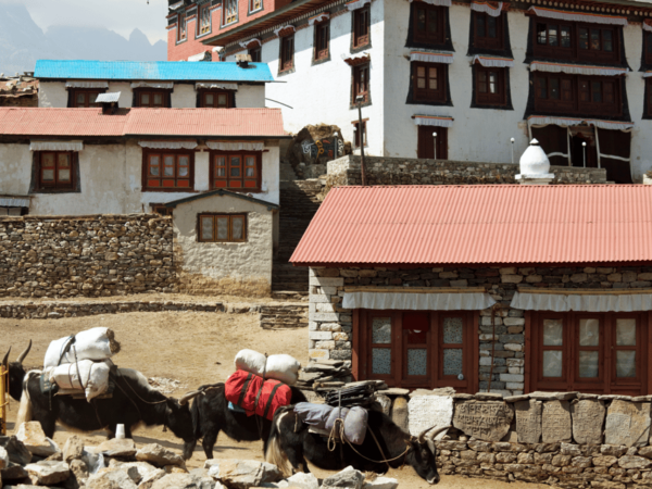 Explore Everest in 5 Days: Kathmandu to Namche Bazaar Trek - Questions You May Have