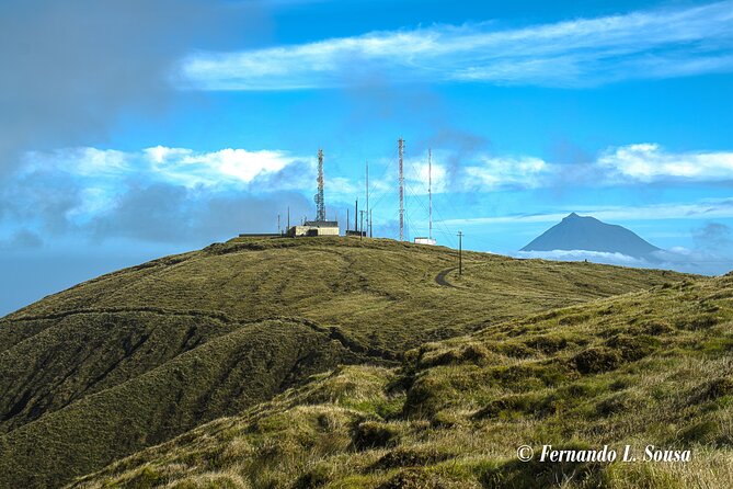 Explore Faial With a Biologist - Half Day 4h - Inclusions and Services Provided