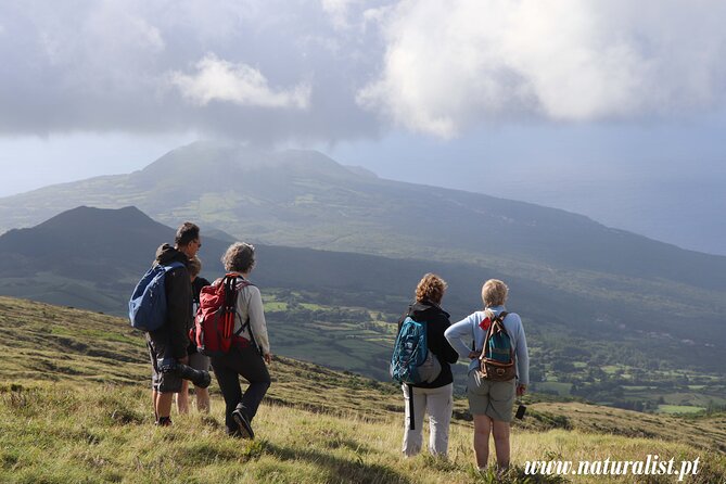 Explore Faial With a Biologist - Half Day 4h - Pickup Details and Important Notes