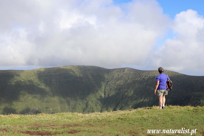 Explore Faial With a Biologist - Half Day 4h - The Sum Up