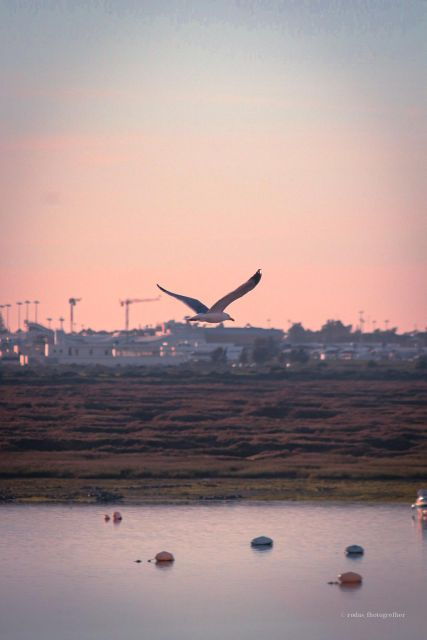 Explore Faro Through the Lens: Guided Photo Tour - Booking Information