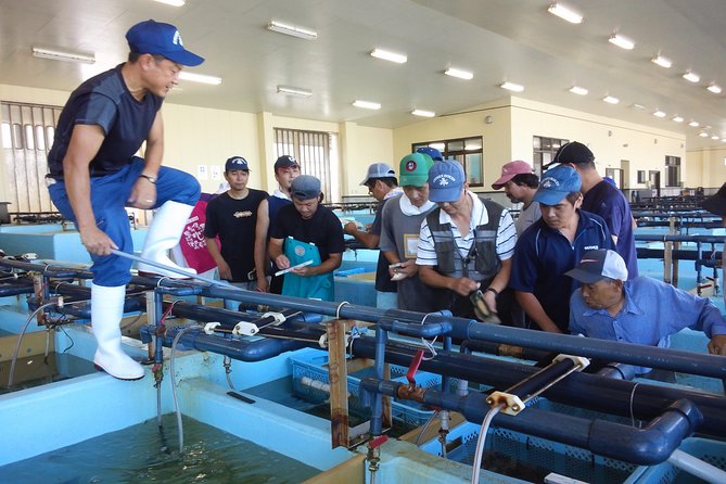 Explore Fishermen Island in Japan(Ise-Shima) - Transportation and Getting Around