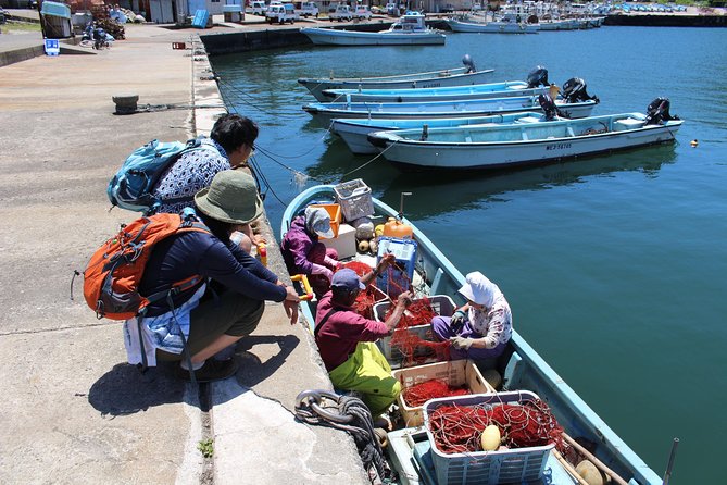 Explore Fishermen Island in Japan(Ise-Shima) - Tips for a Memorable Visit