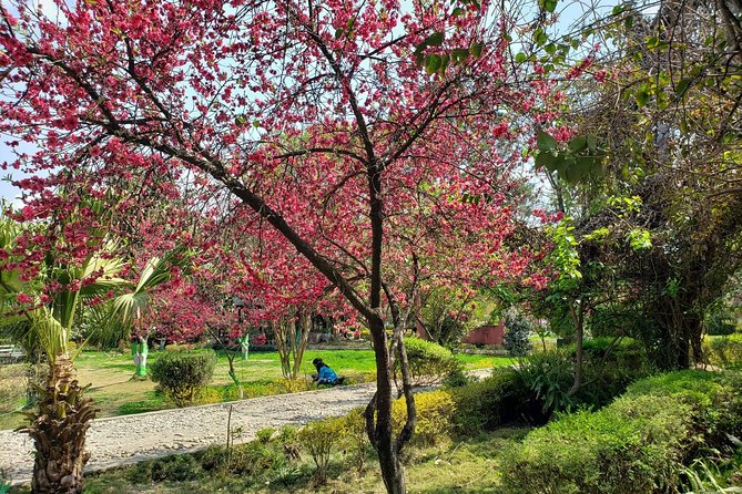 Explore Full Day Kathmandu,Patan and Bhaktapur by Private Car - Pickup Information