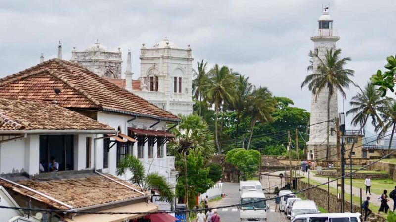 Explore Galle's Hidden Gems & Dine with Locals - Meet the Heroes of Turtle Conservation