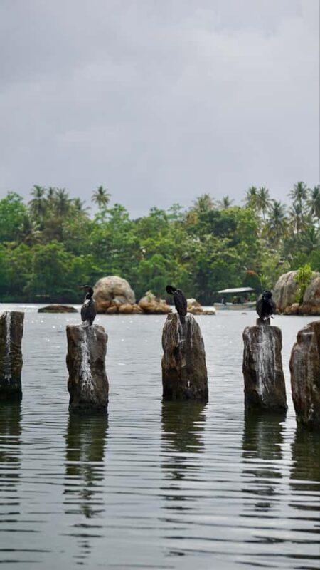 Explore Galle's Hidden Gems & Dine with Locals - Jewelry Making and Local Craftsmanship