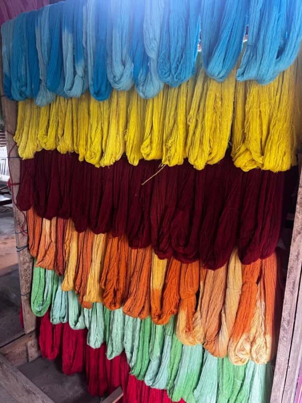 Explore Galle's Hidden Gems & Dine with Locals - Transport & Pace