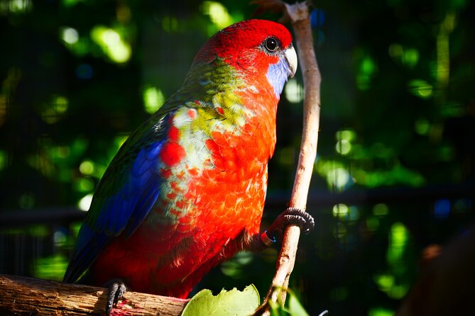 Explore Gardens & Galleries Filled With Incredible Art, Matakana - Captivating Contemporary Art Exhibitions