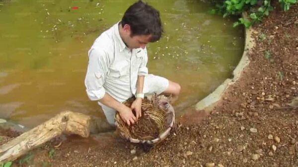 Explore Gem Mines in Rathnapura From Kalutara - Important Considerations