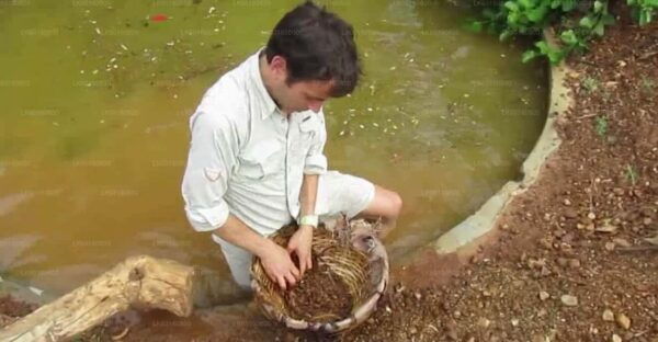 Explore Gem Mines in Rathnapura From Kalutara - Optional Activities and Purchases