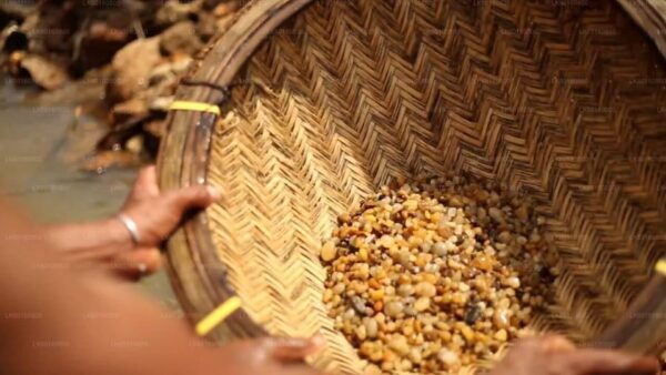 Explore Gem Mines in Rathnapura From Kalutara - Frequently Asked Questions