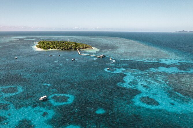 Explore Green Island with Diving options from Cairns - Good To Know