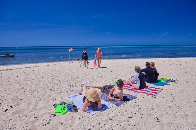 Explore Green Island with Diving options from Cairns - Overview of the Experience